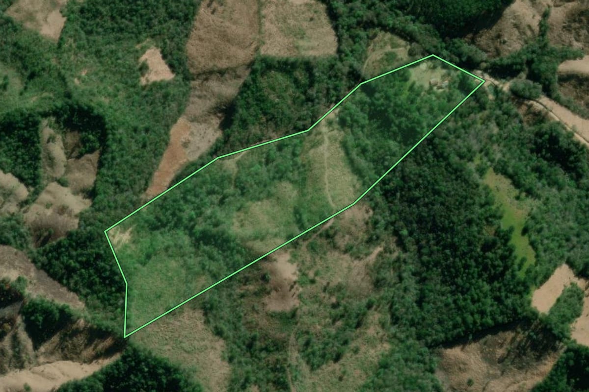 Imagem de satélite do imóvel rural em Itaperuçu (PR), com o contorno declarado no CAR desenhado por cima.