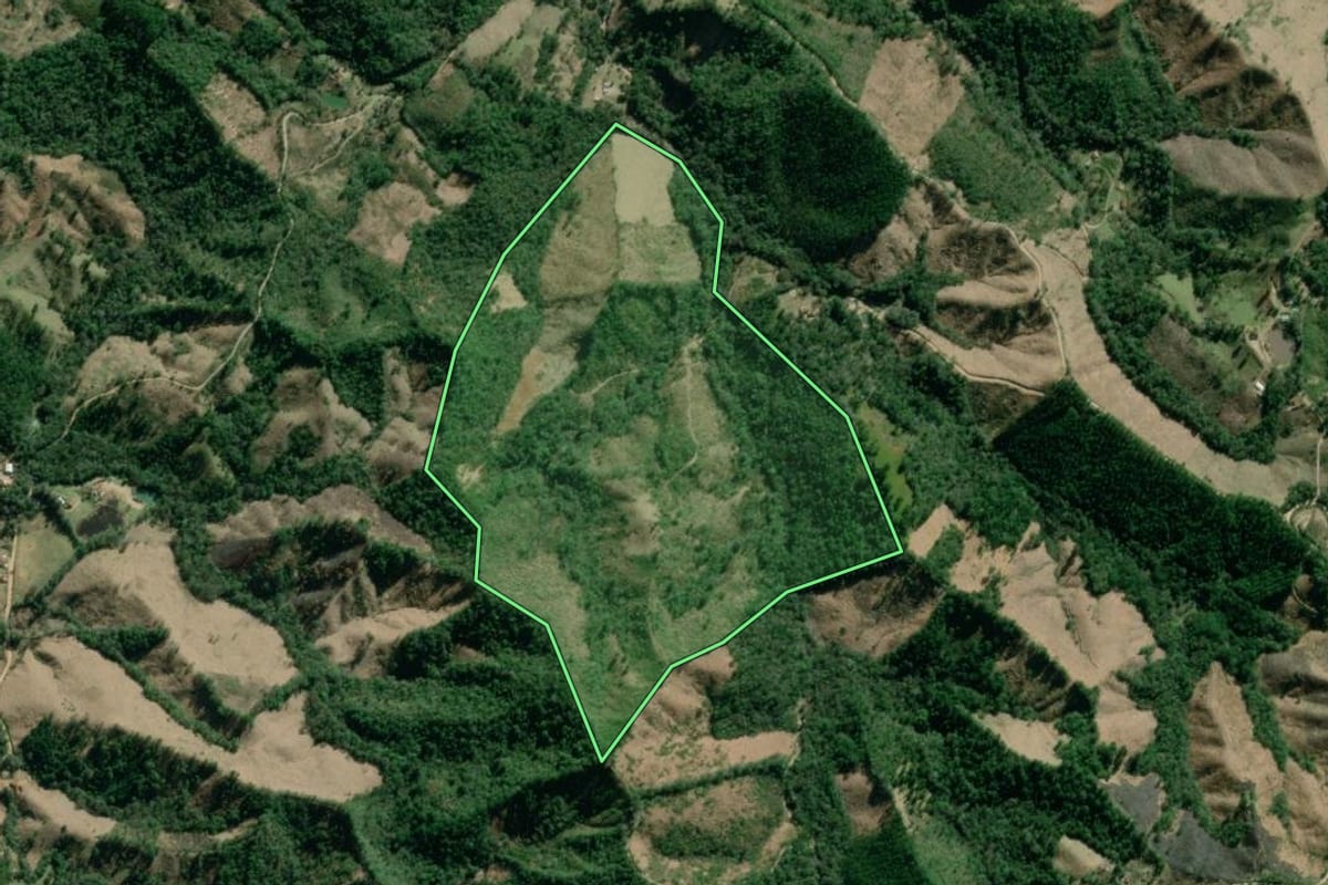 Imagem de satélite do imóvel rural em Itaperuçu (PR), com o contorno declarado no CAR desenhado por cima.