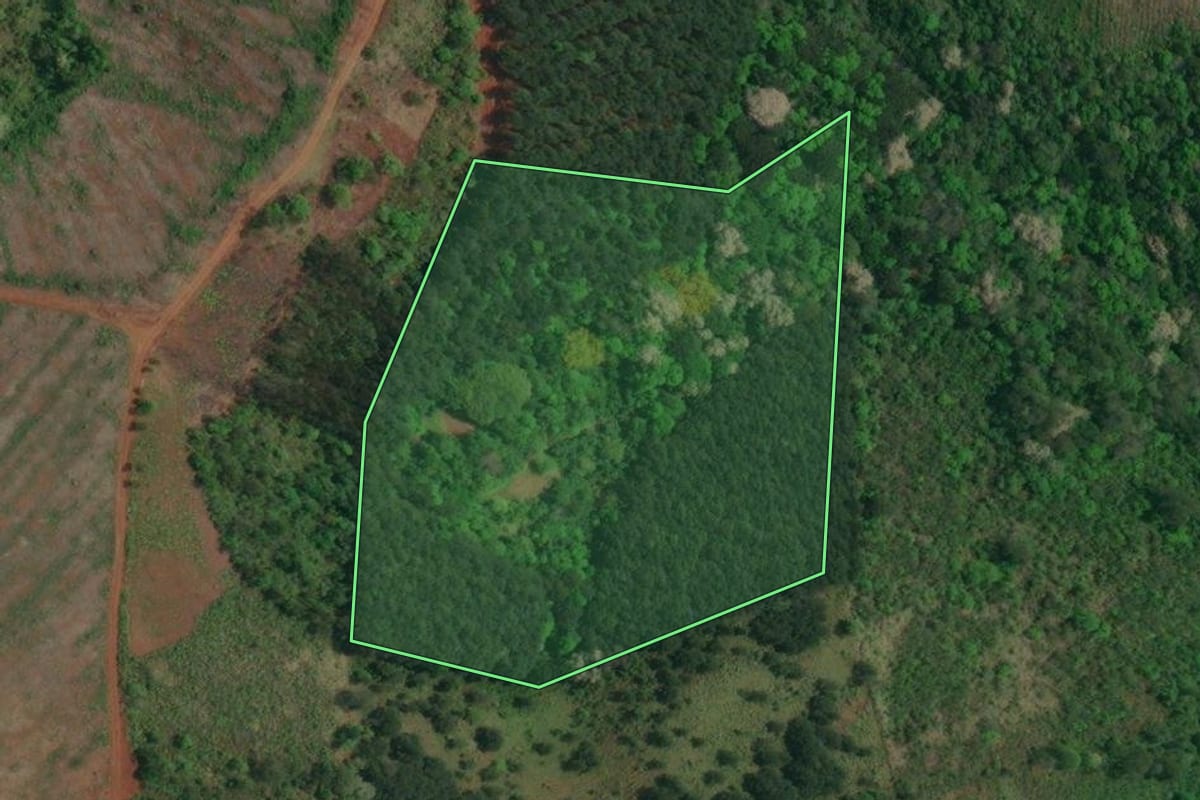 Imagem de satélite do imóvel rural em Itaperuçu (PR), com o contorno declarado no CAR desenhado por cima.