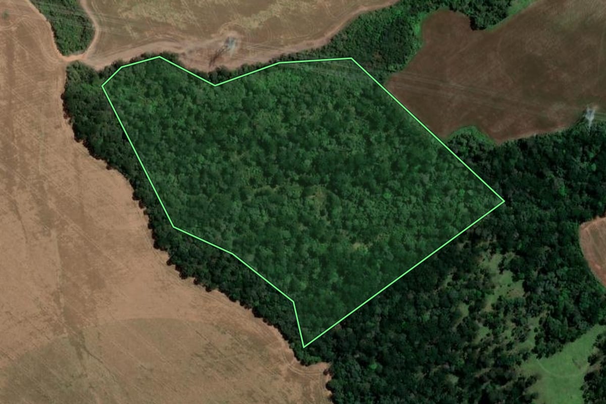 Imagem de satélite do imóvel rural em Ivaí (PR), com o contorno declarado no CAR desenhado por cima.