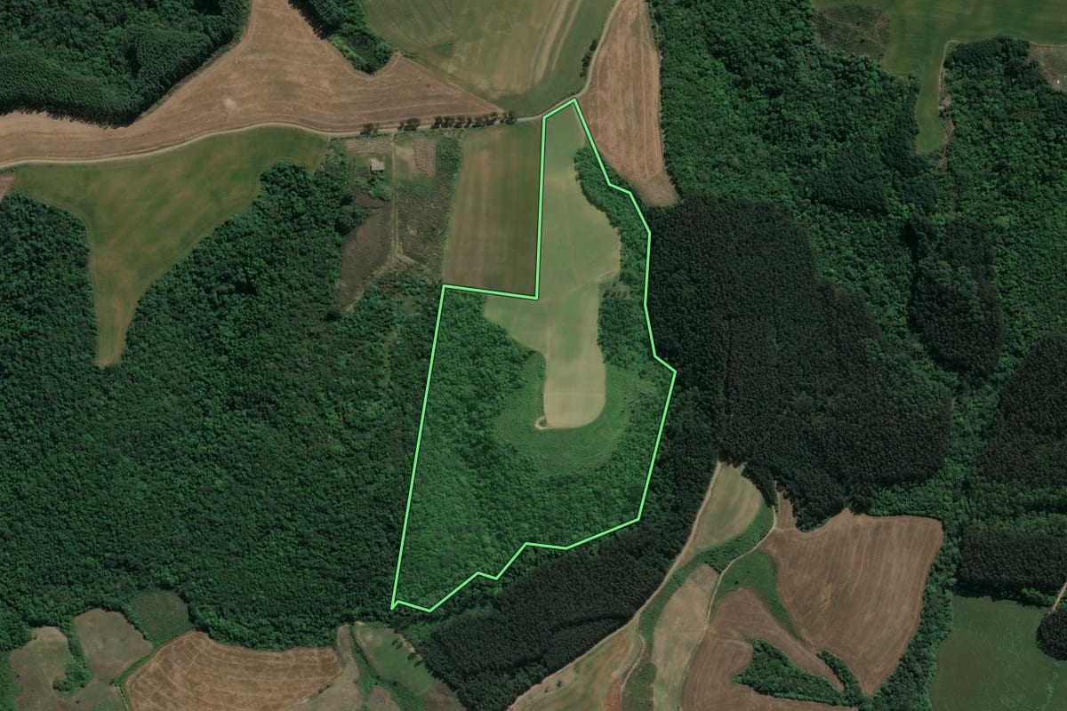 Imagem de satélite do imóvel rural em Ivaí (PR), com o contorno declarado no CAR desenhado por cima.