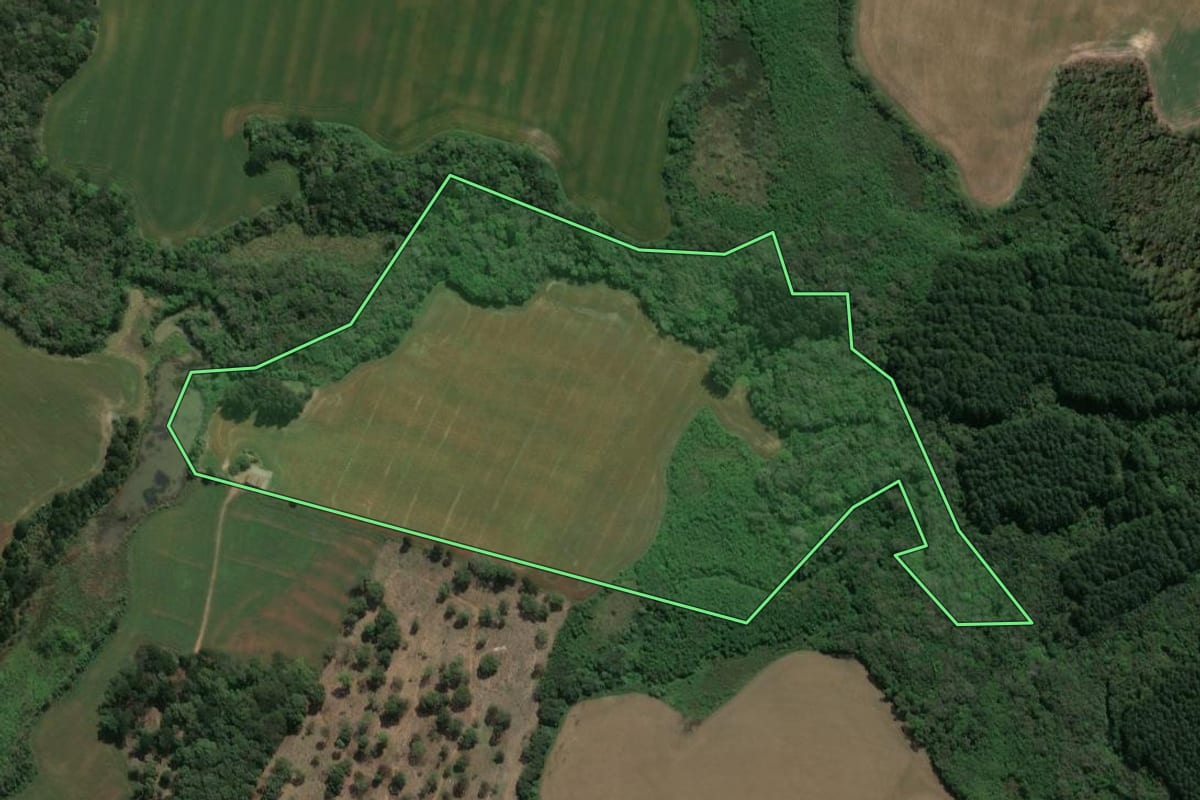 Imagem de satélite do imóvel rural em Ivaí (PR), com o contorno declarado no CAR desenhado por cima.