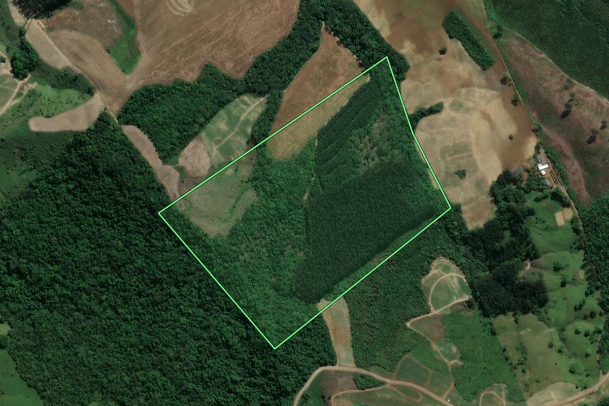 Imagem de satélite do imóvel rural em Ivaí (PR), com o contorno declarado no CAR desenhado por cima.