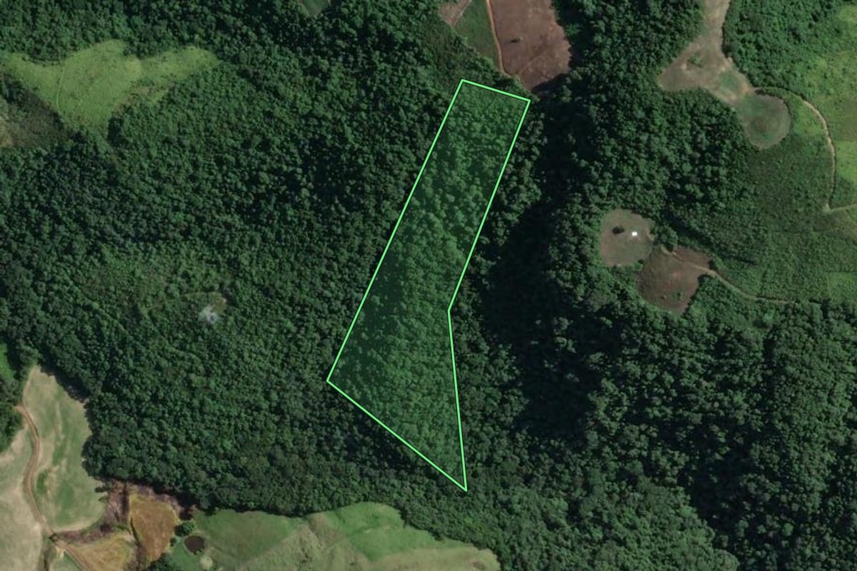 Imagem de satélite do imóvel rural em Ivaí (PR), com o contorno declarado no CAR desenhado por cima.