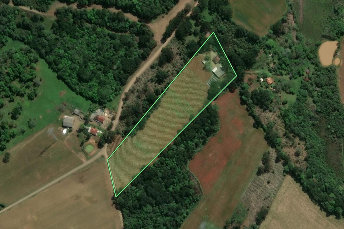 Imagem de satélite do imóvel rural em Ivaí (PR), com o contorno declarado no CAR desenhado por cima.