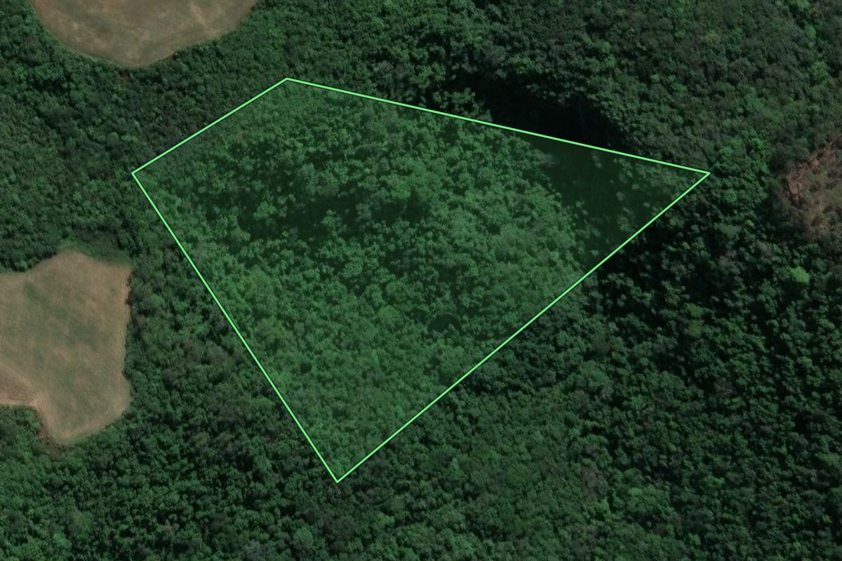 Imagem de satélite do imóvel rural em Ivaí (PR), com o contorno declarado no CAR desenhado por cima.