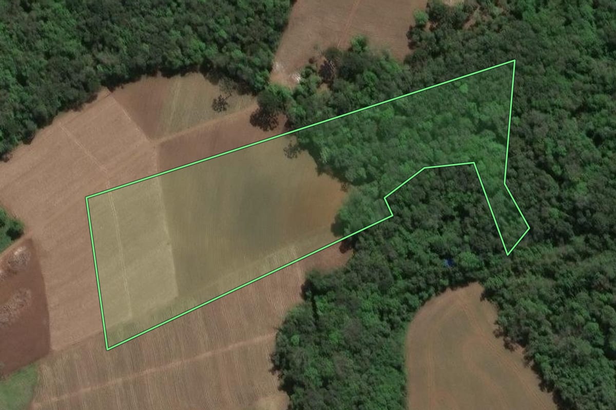 Imagem de satélite do imóvel rural em Ivaí (PR), com o contorno declarado no CAR desenhado por cima.