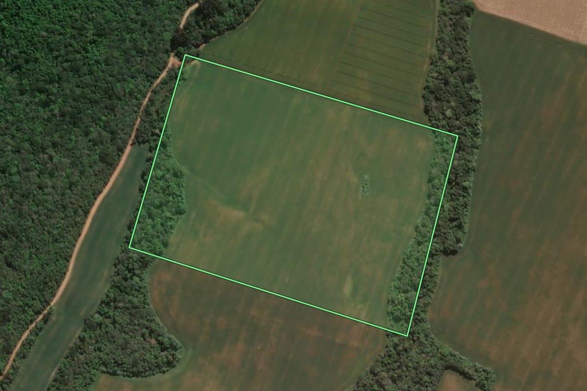 Imagem de satélite do imóvel rural em Ivaí (PR), com o contorno declarado no CAR desenhado por cima.
