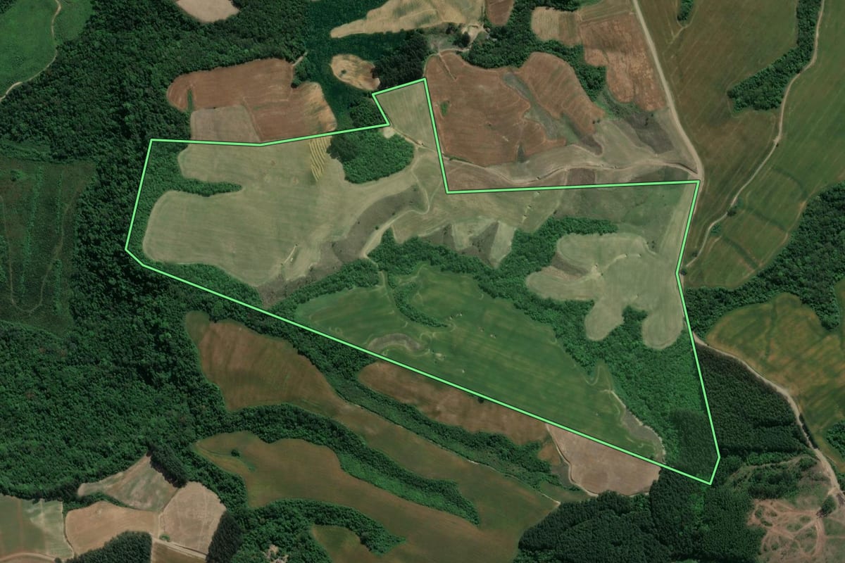 Imagem de satélite do imóvel rural em Ivaí (PR), com o contorno declarado no CAR desenhado por cima.