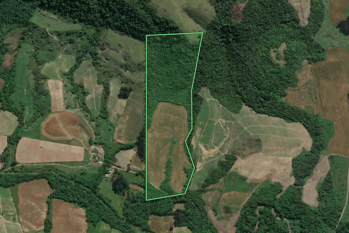 Imagem de satélite do imóvel rural em Ivaí (PR), com o contorno declarado no CAR desenhado por cima.