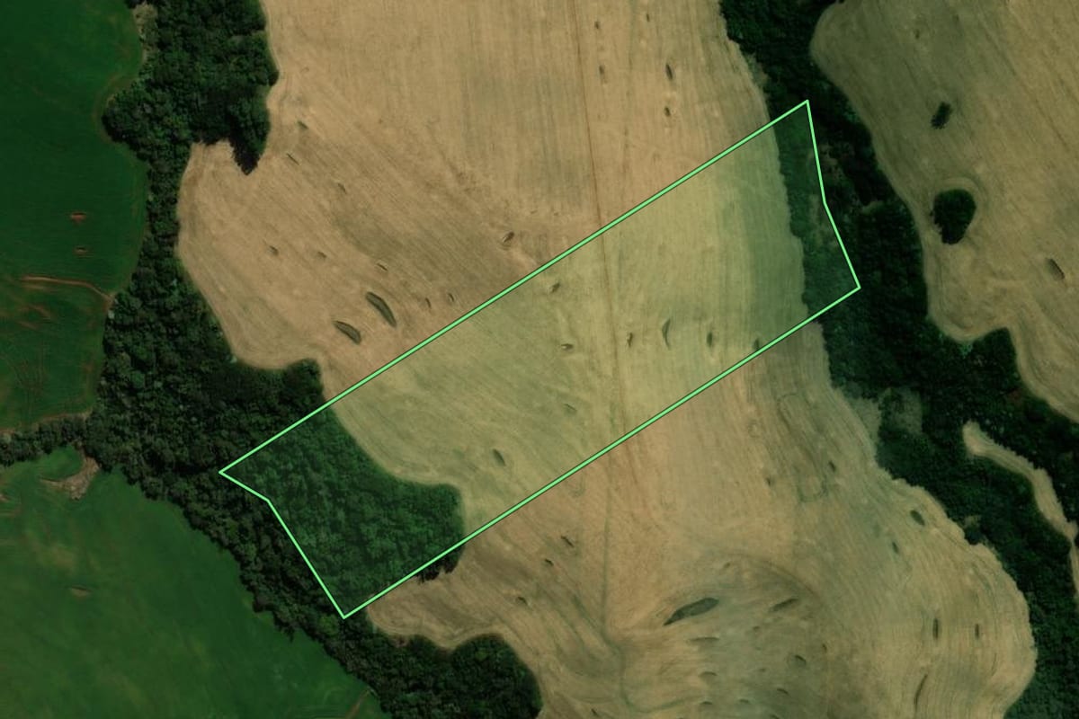 Imagem de satélite do imóvel rural em Ivaiporã (PR), com o contorno declarado no CAR desenhado por cima.