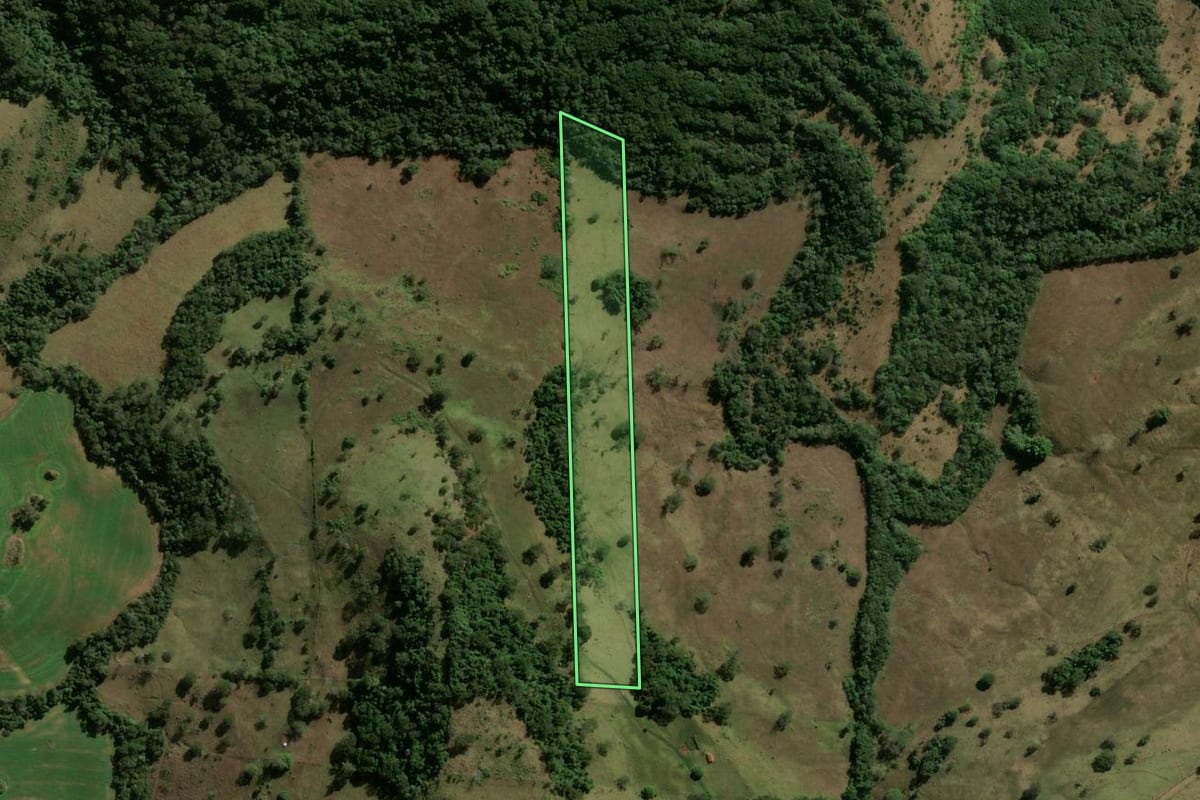 Imagem de satélite do imóvel rural em Ivaiporã (PR), com o contorno declarado no CAR desenhado por cima.