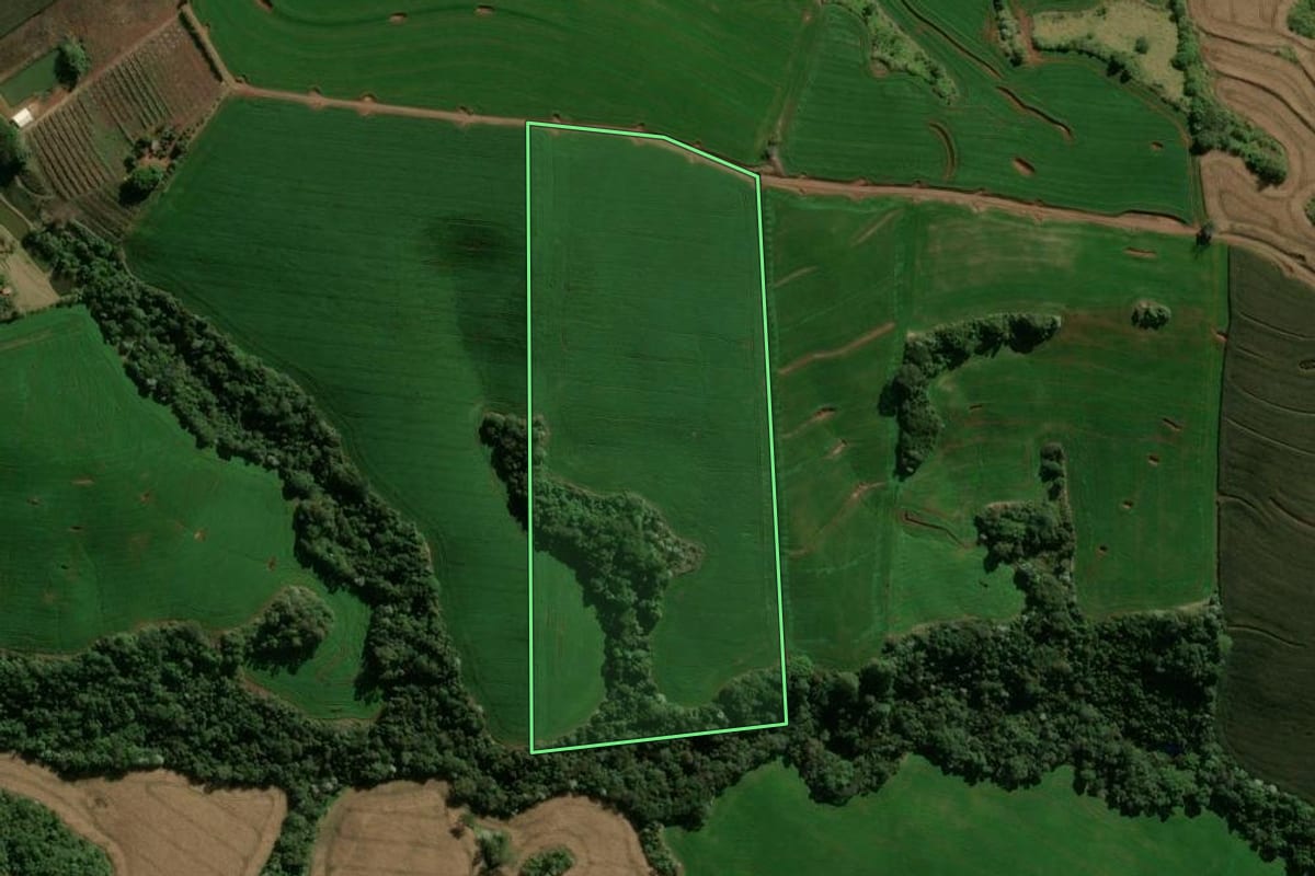 Imagem de satélite do imóvel rural em Ivaiporã (PR), com o contorno declarado no CAR desenhado por cima.
