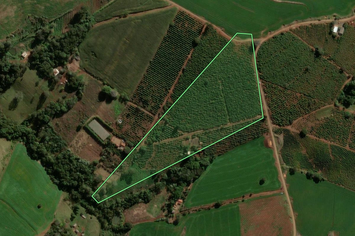 Imagem de satélite do imóvel rural em Ivaiporã (PR), com o contorno declarado no CAR desenhado por cima.