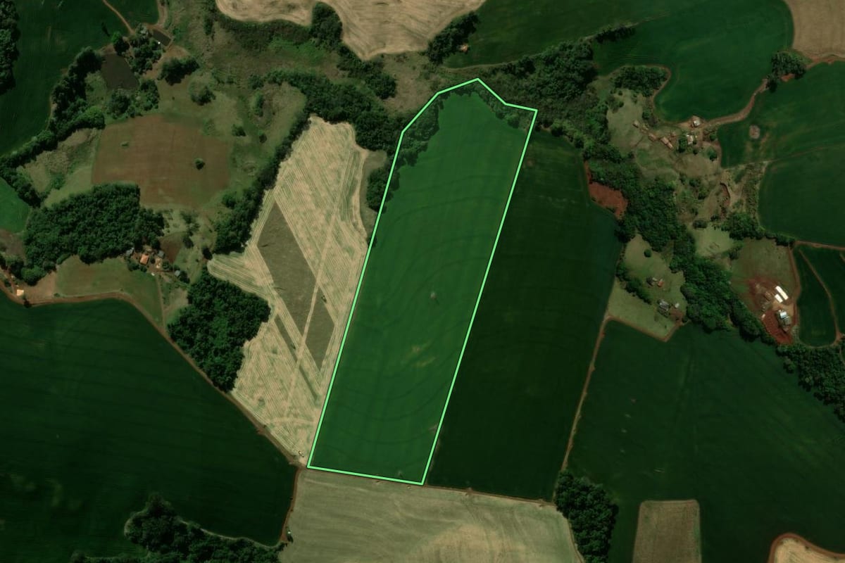 Imagem de satélite do imóvel rural em Ivaiporã (PR), com o contorno declarado no CAR desenhado por cima.