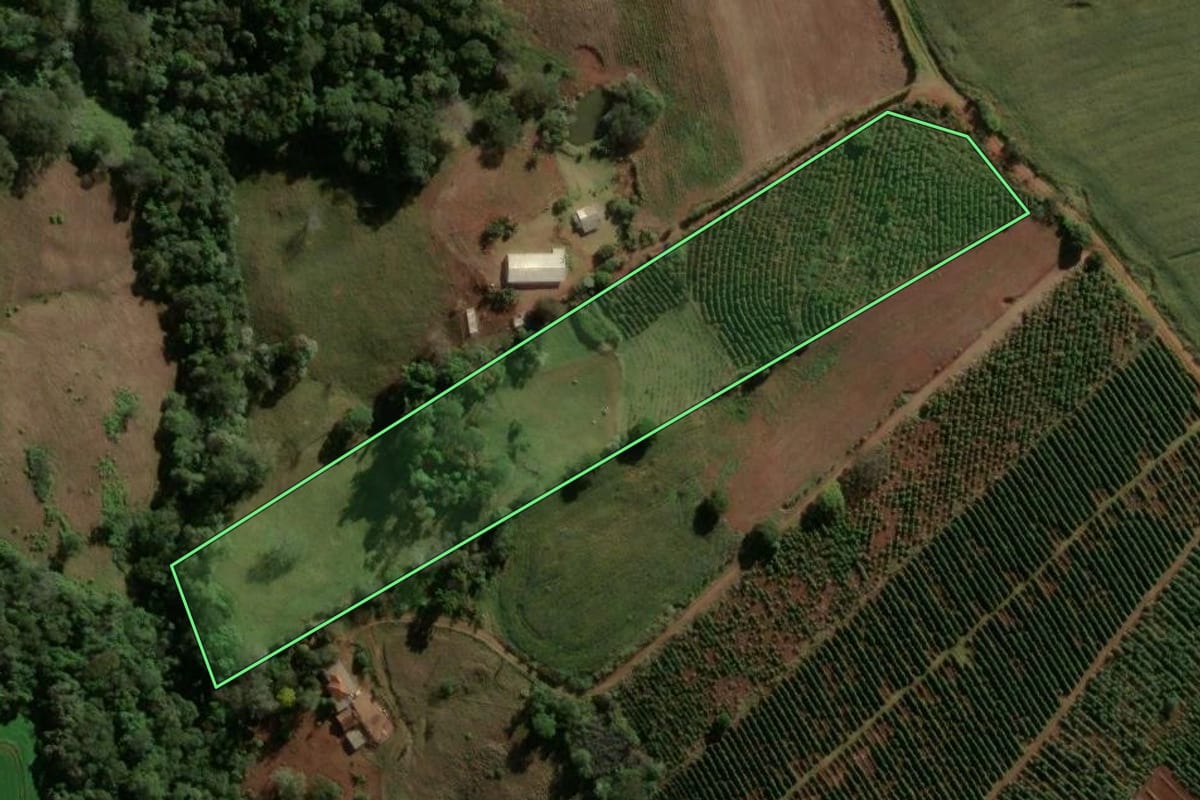 Imagem de satélite do imóvel rural em Ivaiporã (PR), com o contorno declarado no CAR desenhado por cima.