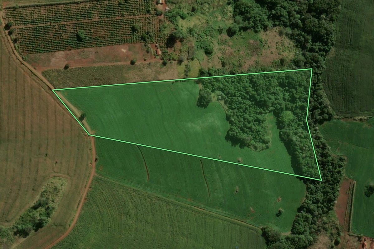 Imagem de satélite do imóvel rural em Ivaiporã (PR), com o contorno declarado no CAR desenhado por cima.
