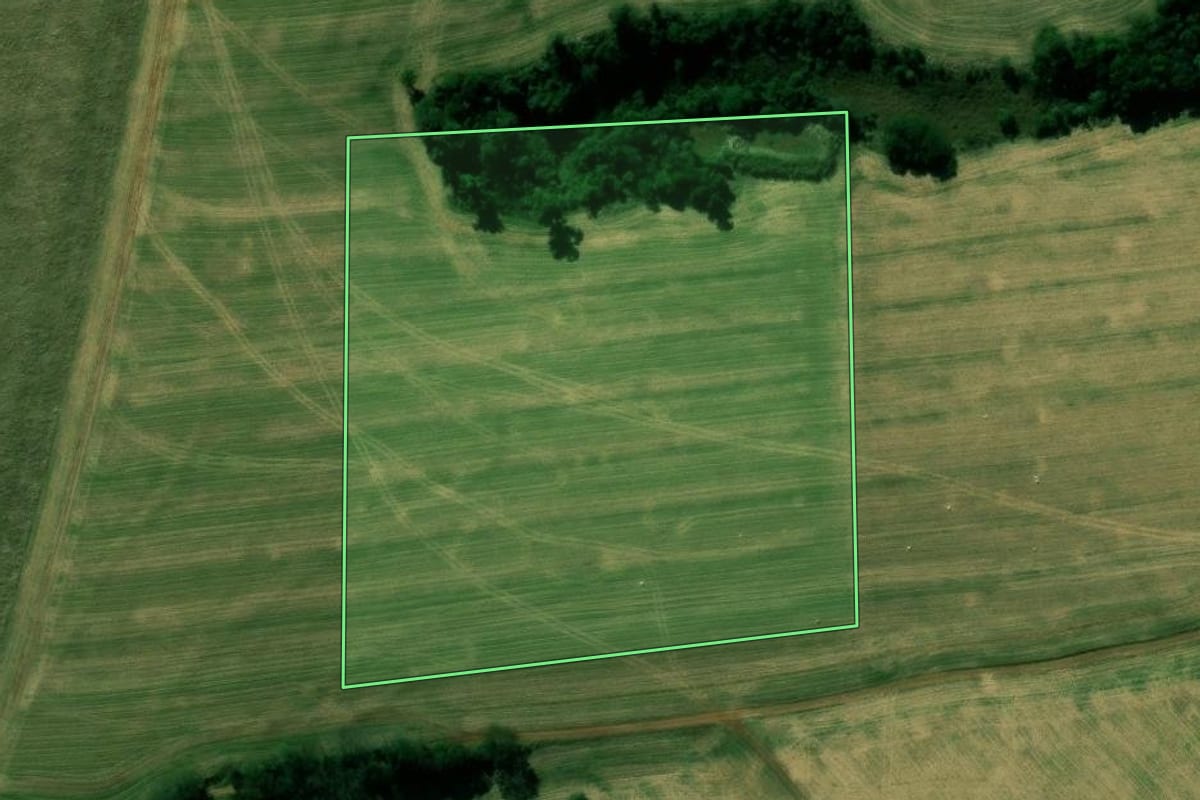 Imagem de satélite do imóvel rural em Ivaiporã (PR), com o contorno declarado no CAR desenhado por cima.