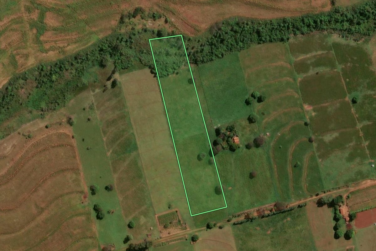 Imagem de satélite do imóvel rural em Ivaté (PR), com o contorno declarado no CAR desenhado por cima.
