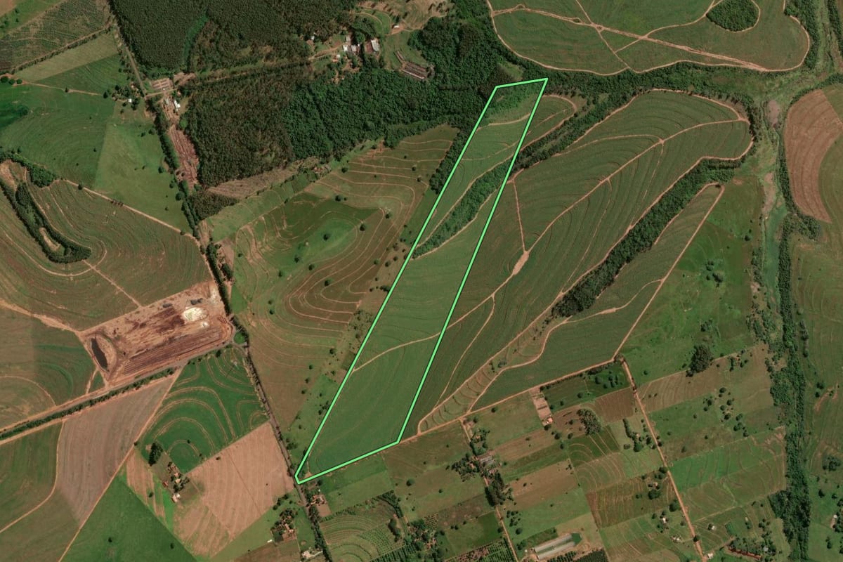Imagem de satélite do imóvel rural em Ivaté (PR), com o contorno declarado no CAR desenhado por cima.