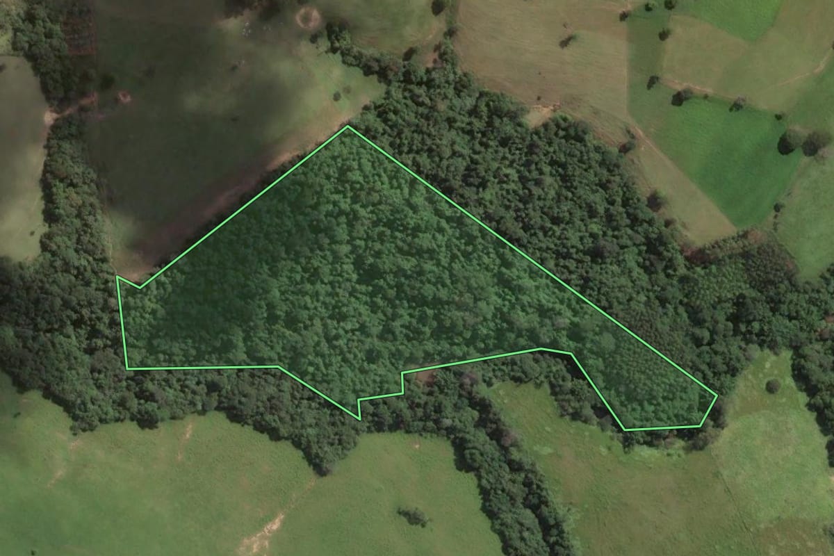 Imagem de satélite do imóvel rural em Jaboti (PR), com o contorno declarado no CAR desenhado por cima.