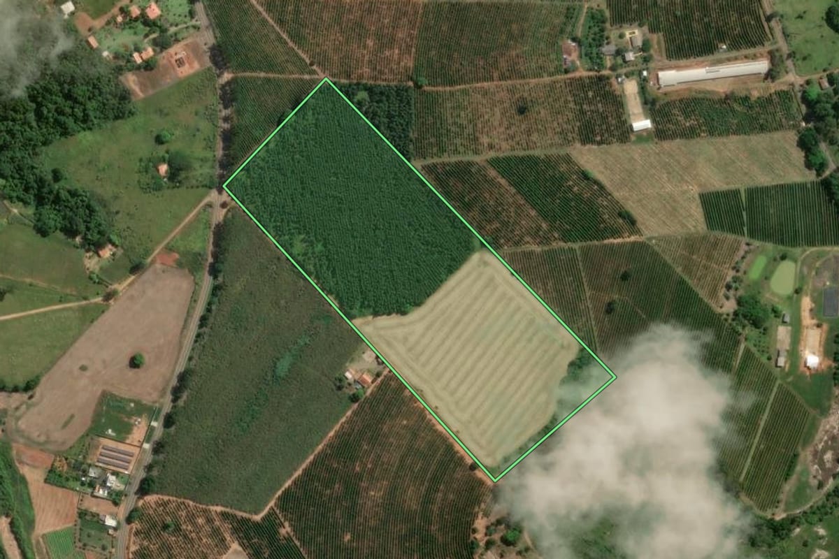 Imagem de satélite do imóvel rural em Jaboti (PR), com o contorno declarado no CAR desenhado por cima.