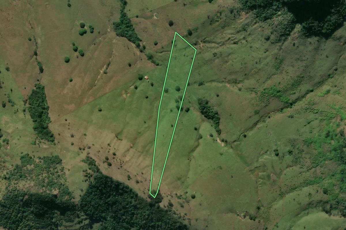 Imagem de satélite do imóvel rural em Jacarezinho (PR), com o contorno declarado no CAR desenhado por cima.
