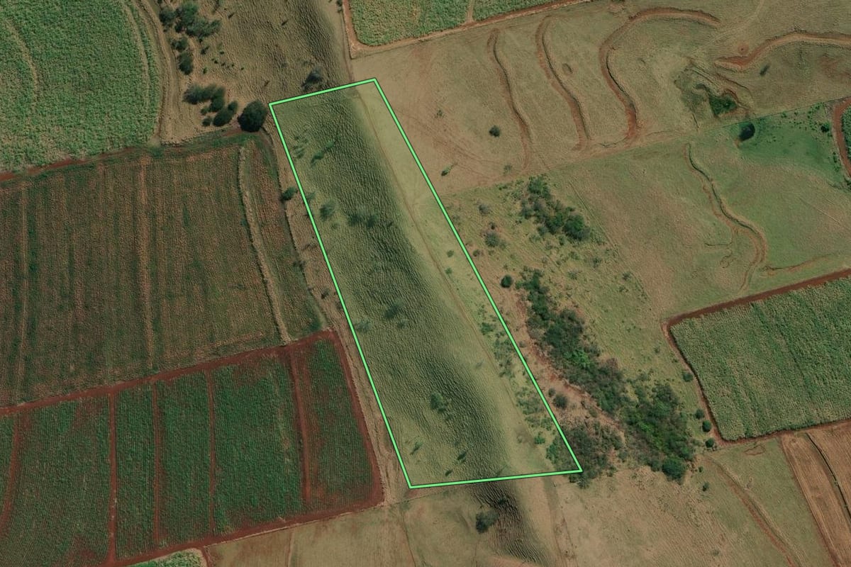 Imagem de satélite do imóvel rural em Jacarezinho (PR), com o contorno declarado no CAR desenhado por cima.