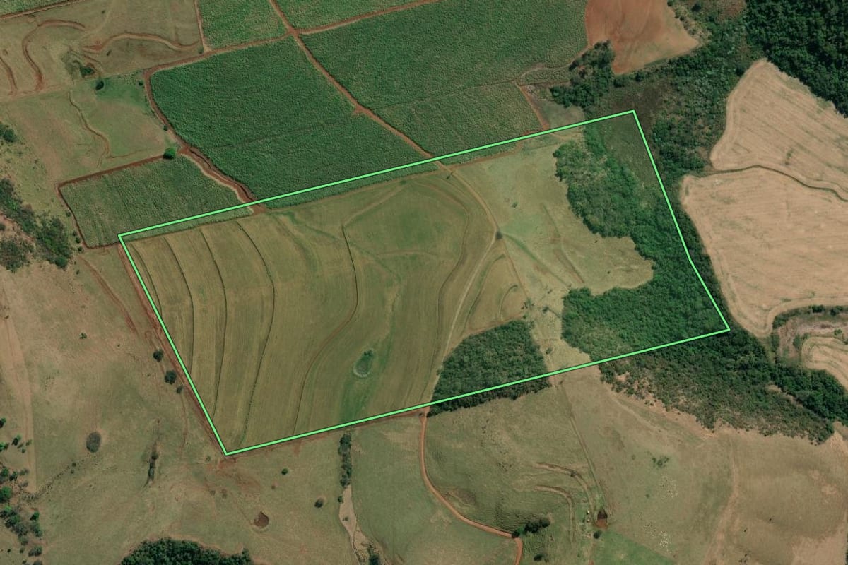 Imagem de satélite do imóvel rural em Jacarezinho (PR), com o contorno declarado no CAR desenhado por cima.