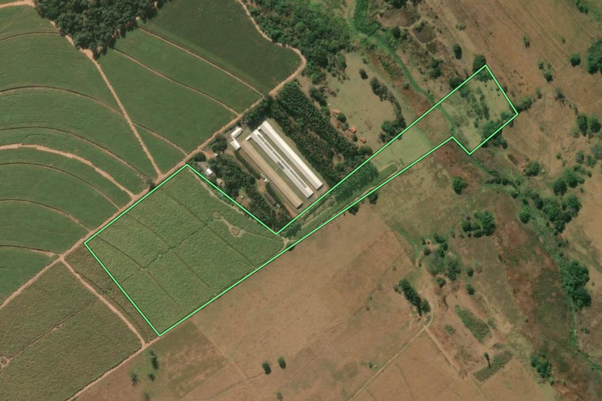 Imagem de satélite do imóvel rural em Jacarezinho (PR), com o contorno declarado no CAR desenhado por cima.