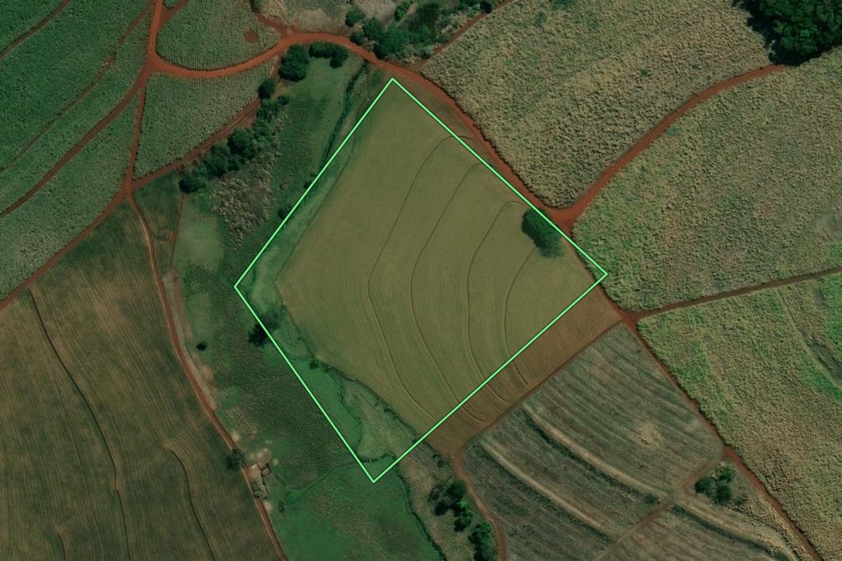 Imagem de satélite do imóvel rural em Jacarezinho (PR), com o contorno declarado no CAR desenhado por cima.