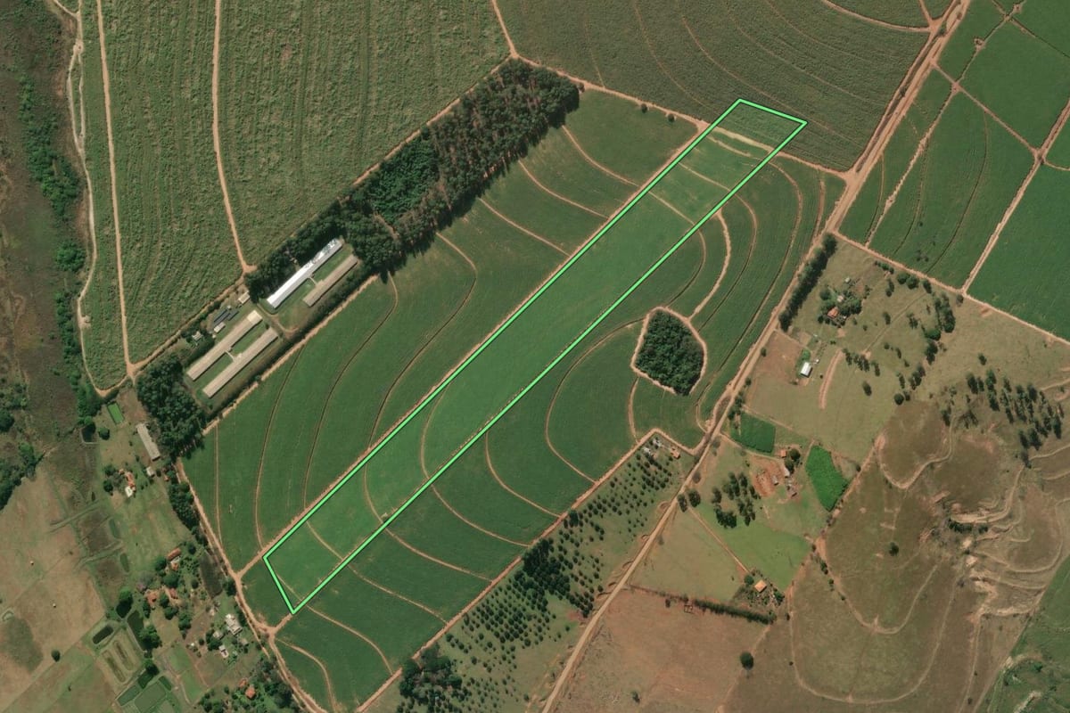 Imagem de satélite do imóvel rural em Jacarezinho (PR), com o contorno declarado no CAR desenhado por cima.