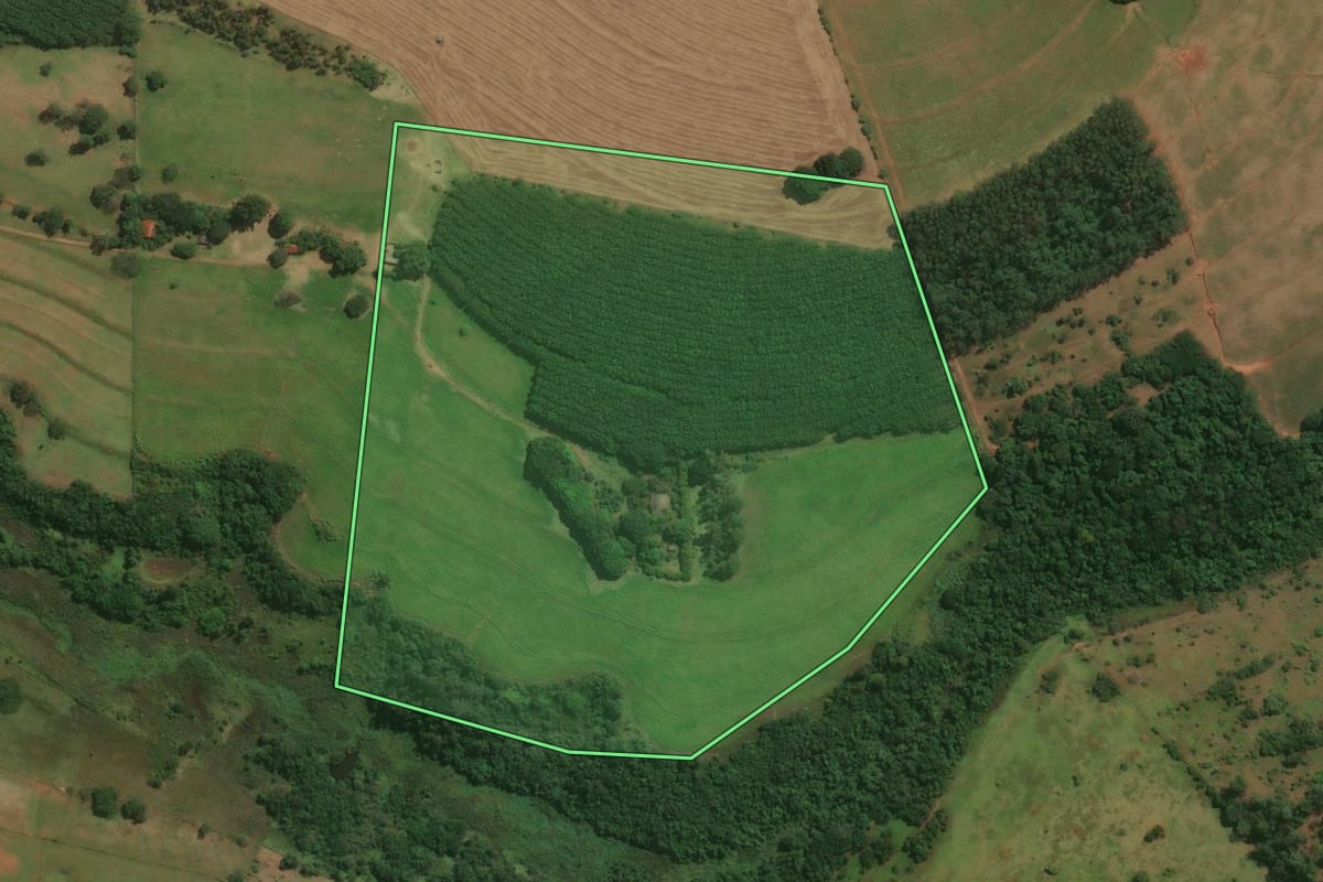Imagem de satélite do imóvel rural em Jaguapitã (PR), com o contorno declarado no CAR desenhado por cima.