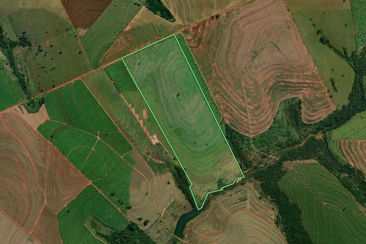 Imagem de satélite do imóvel rural em Jaguapitã (PR), com o contorno declarado no CAR desenhado por cima.