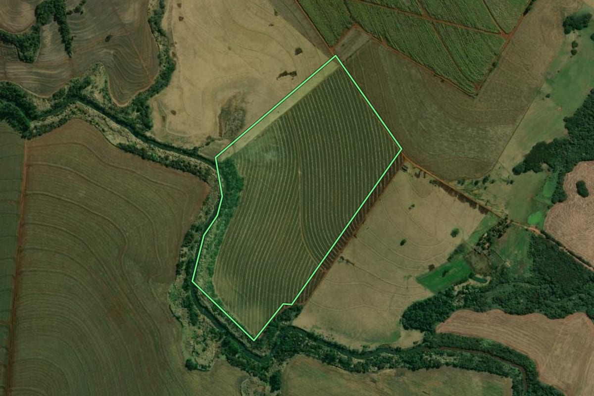 Imagem de satélite do imóvel rural em Jaguapitã (PR), com o contorno declarado no CAR desenhado por cima.