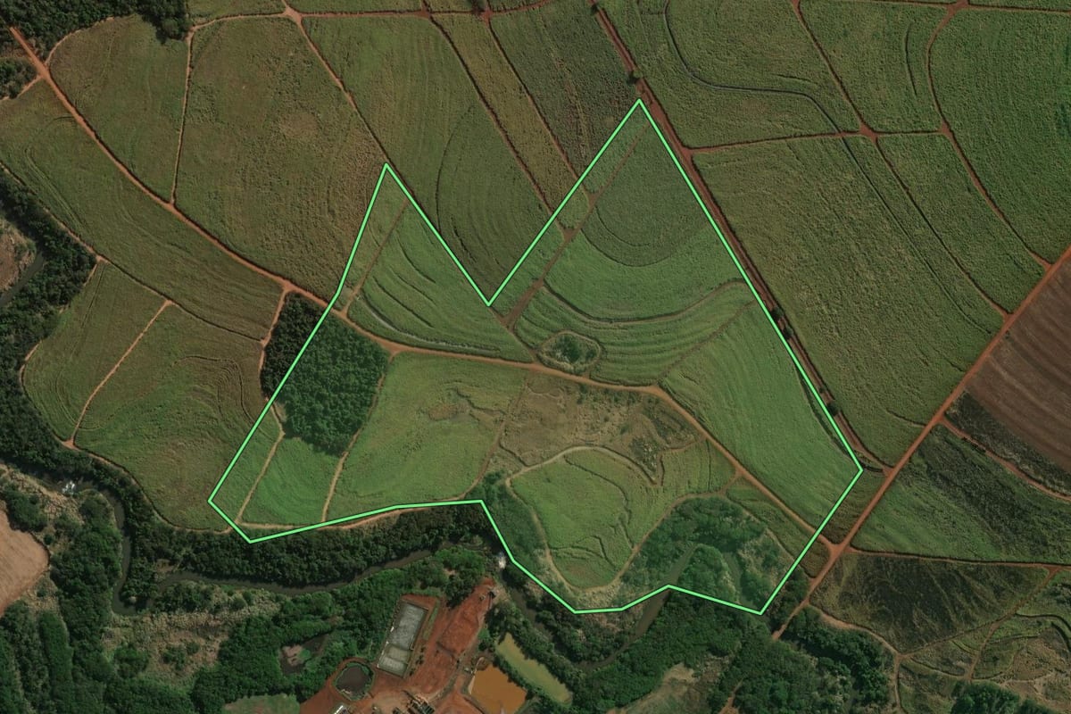 Imagem de satélite do imóvel rural em Jaguapitã (PR), com o contorno declarado no CAR desenhado por cima.