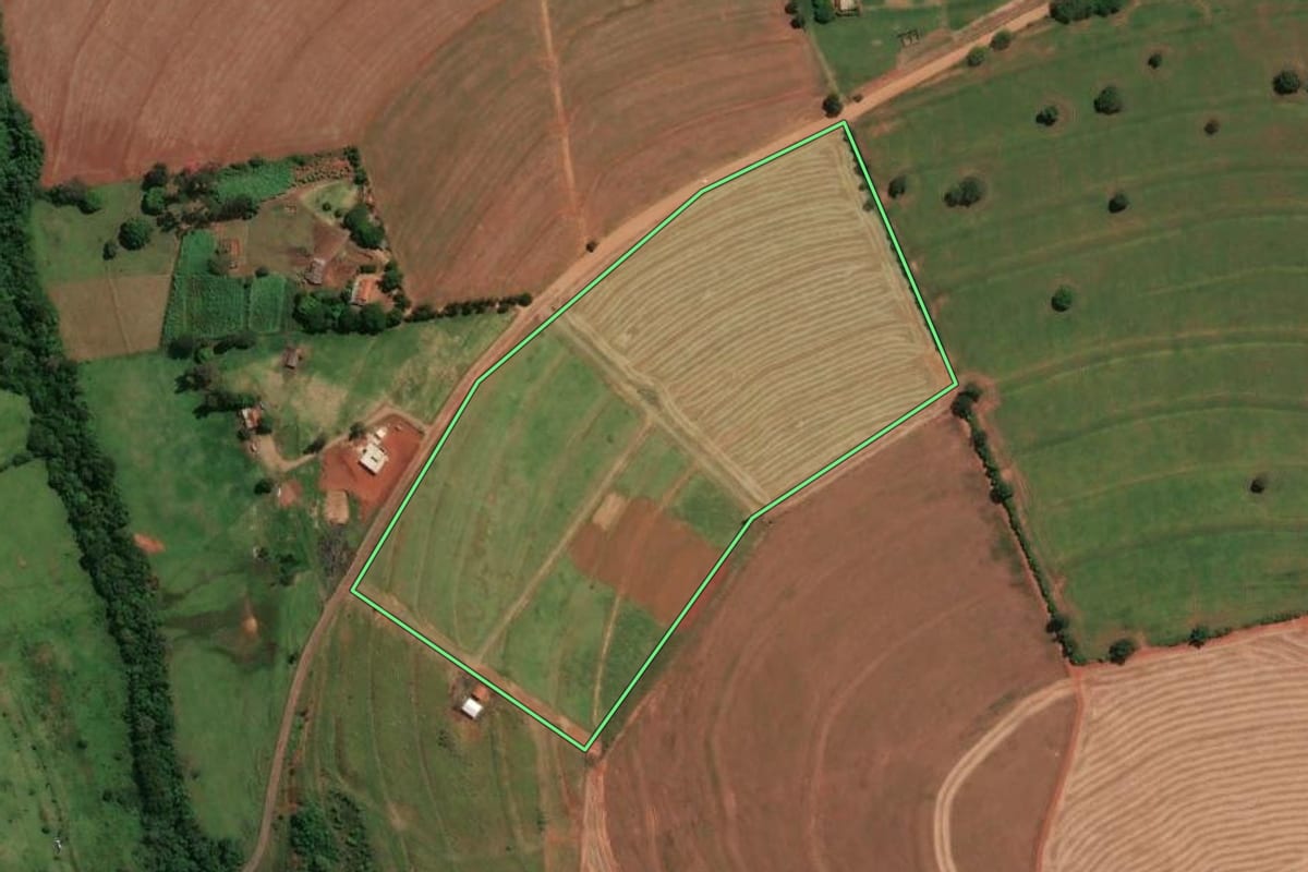 Imagem de satélite do imóvel rural em Jaguapitã (PR), com o contorno declarado no CAR desenhado por cima.