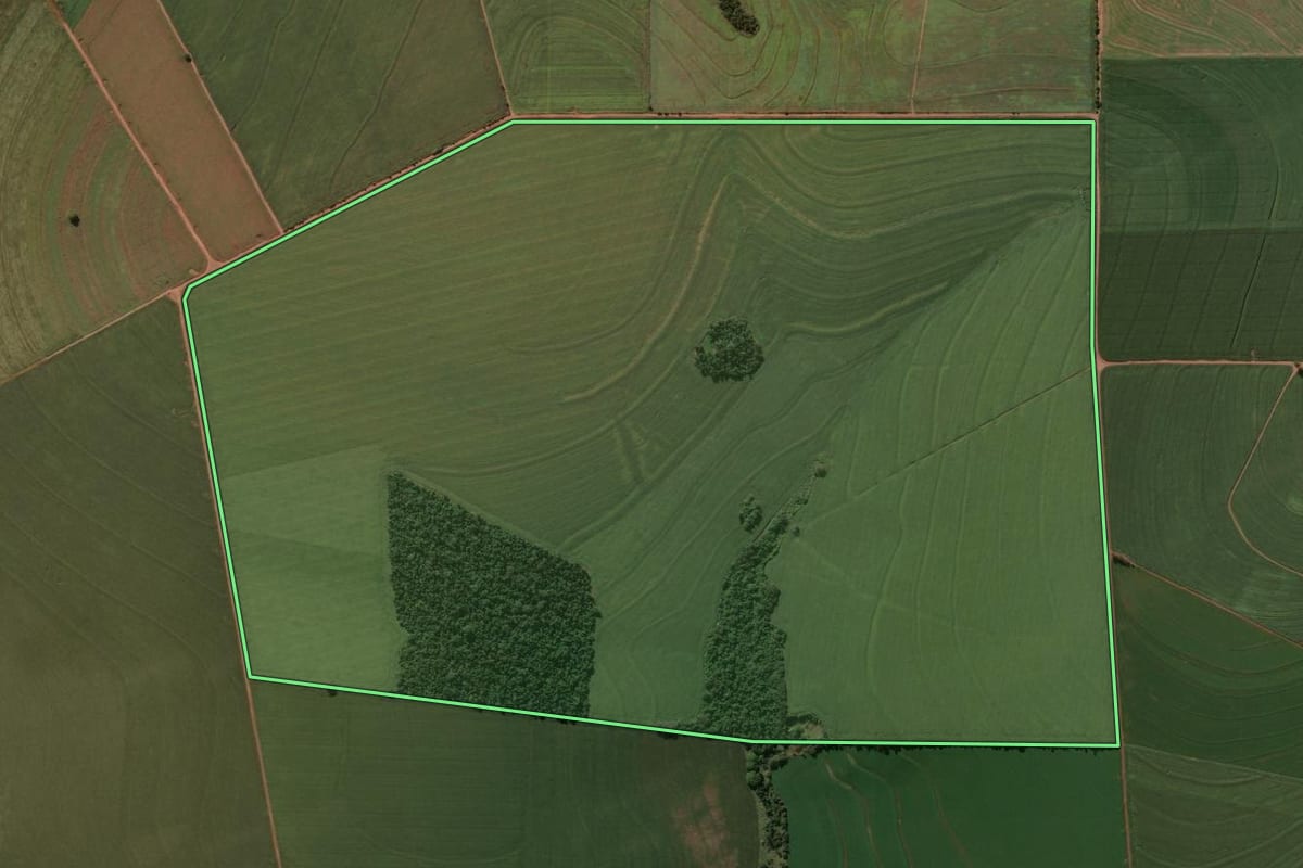 Imagem de satélite do imóvel rural em Jaguapitã (PR), com o contorno declarado no CAR desenhado por cima.
