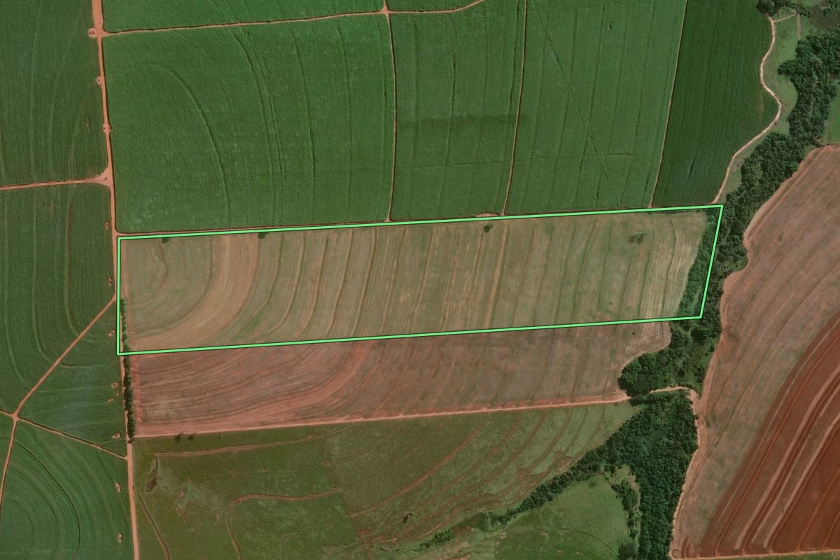 Imagem de satélite do imóvel rural em Jaguapitã (PR), com o contorno declarado no CAR desenhado por cima.