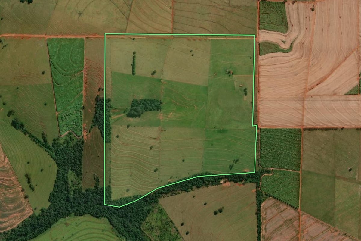 Imagem de satélite do imóvel rural em Jaguapitã (PR), com o contorno declarado no CAR desenhado por cima.