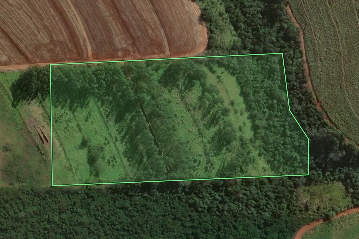 Imagem de satélite do imóvel rural em Jaguapitã (PR), com o contorno declarado no CAR desenhado por cima.
