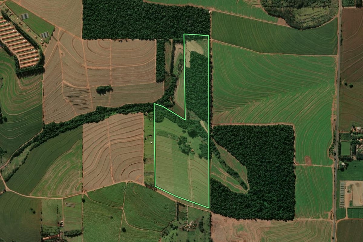 Imagem de satélite do imóvel rural em Jaguapitã (PR), com o contorno declarado no CAR desenhado por cima.