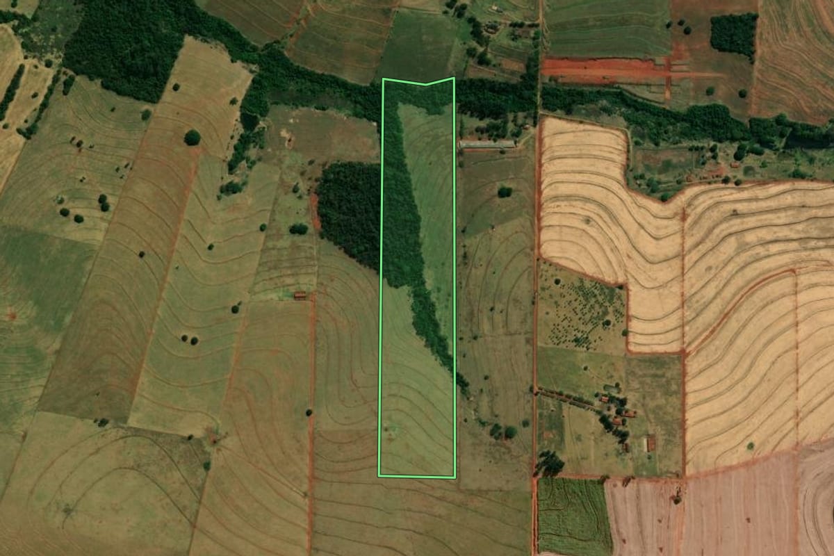 Imagem de satélite do imóvel rural em Jaguapitã (PR), com o contorno declarado no CAR desenhado por cima.