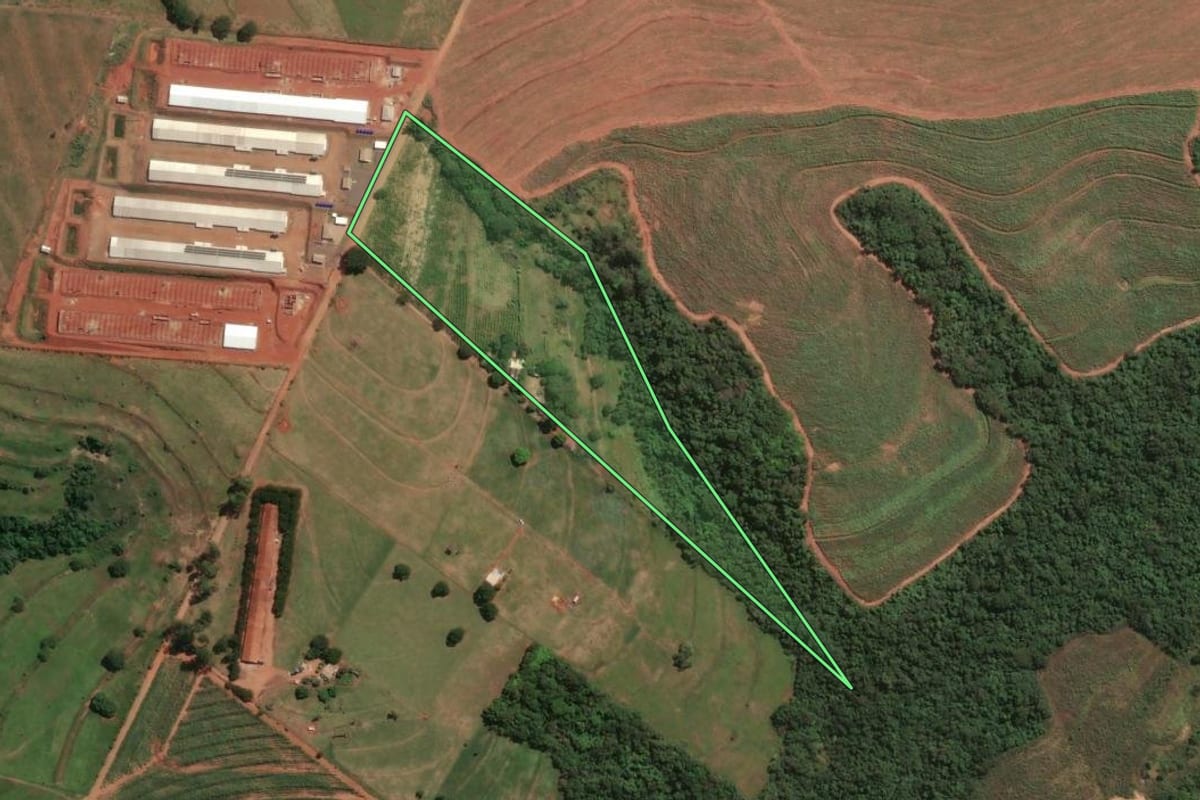 Imagem de satélite do imóvel rural em Jaguapitã (PR), com o contorno declarado no CAR desenhado por cima.