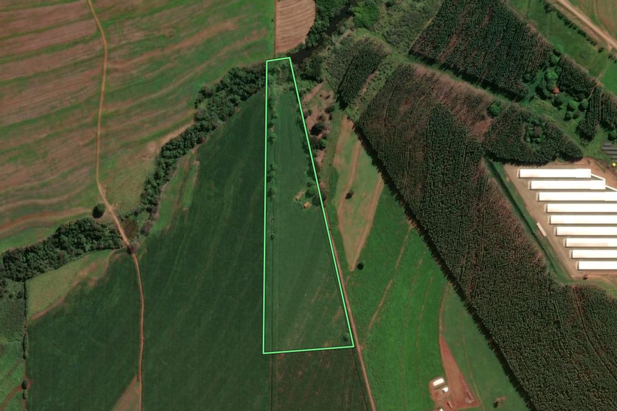 Imagem de satélite do imóvel rural em Jaguapitã (PR), com o contorno declarado no CAR desenhado por cima.