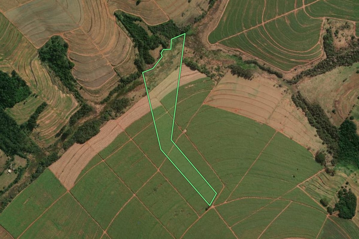Imagem de satélite do imóvel rural em Jaguapitã (PR), com o contorno declarado no CAR desenhado por cima.