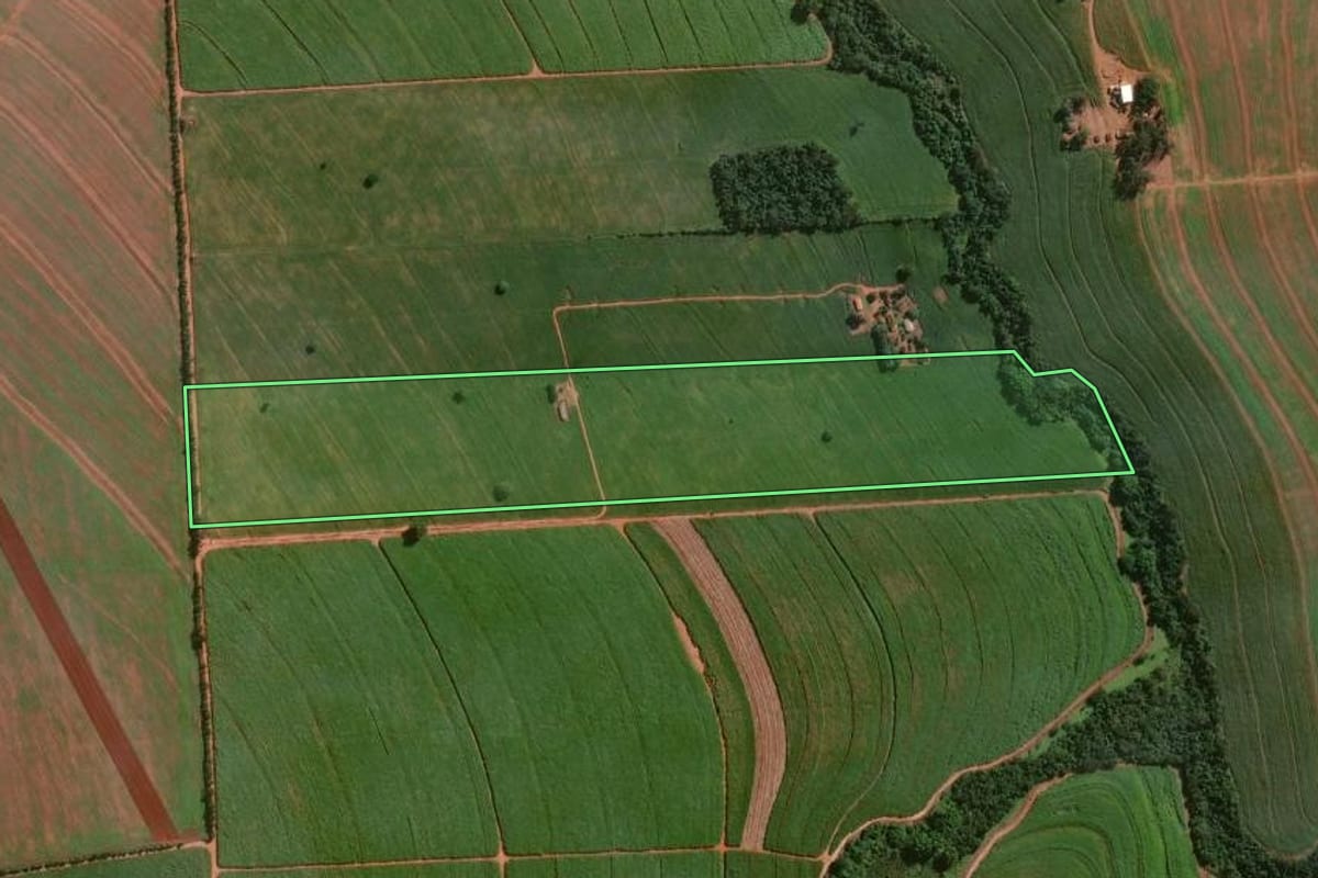 Imagem de satélite do imóvel rural em Jaguapitã (PR), com o contorno declarado no CAR desenhado por cima.