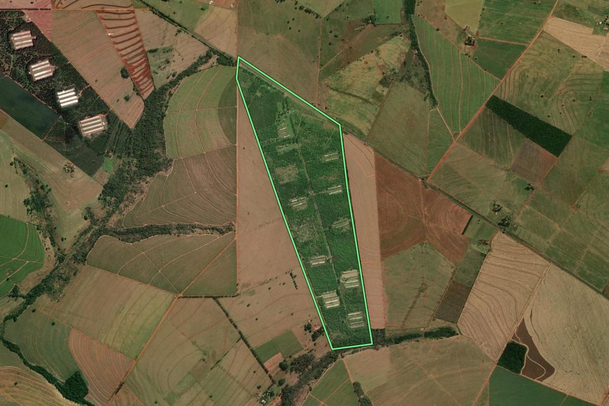 Imagem de satélite do imóvel rural em Jaguapitã (PR), com o contorno declarado no CAR desenhado por cima.
