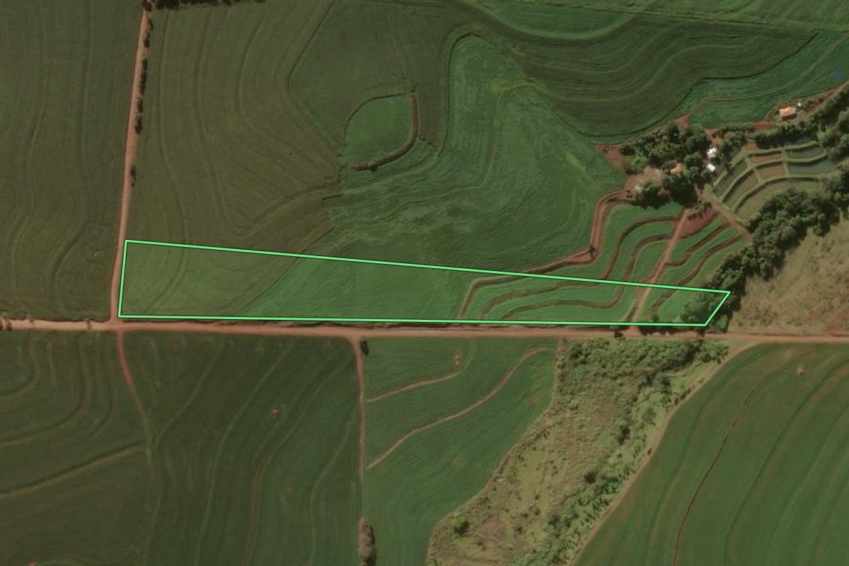 Imagem de satélite do imóvel rural em Jaguapitã (PR), com o contorno declarado no CAR desenhado por cima.