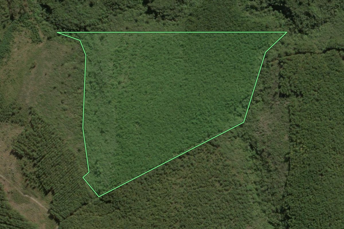 Imagem de satélite do imóvel rural em Jaguariaíva (PR), com o contorno declarado no CAR desenhado por cima.